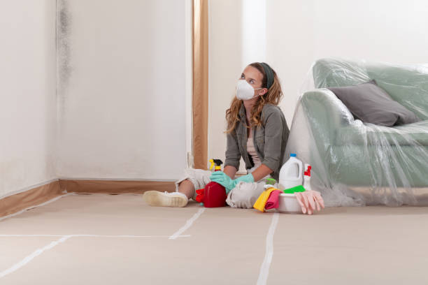 Reliable Black Mold Removal contractor in Magnolia, NC by WQB Mold Removal